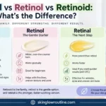 Retinal vs Retinol vs Retinoid: What’s the Difference?